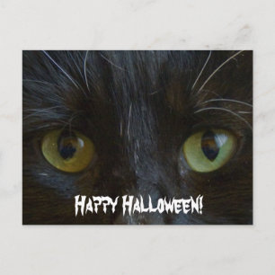 Postal Cartão Postal:  Olhos de Gato Negro