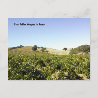 Postal Cartão Postal: Paso Robles Vineyard em agosto