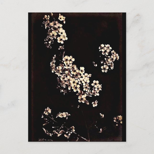 Postal Cartão postal-Vintage Fotografia-Charles Aubry 27 (Frente)