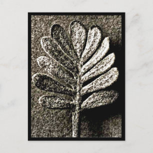 Postal Cartão postal-Vintage Fotografia-Karl Blossfeldt