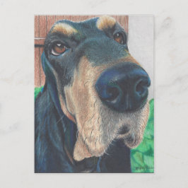 Postal cartão poste de cão preto