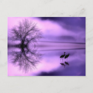 Postal Cartão Poste de Manhã Roxo