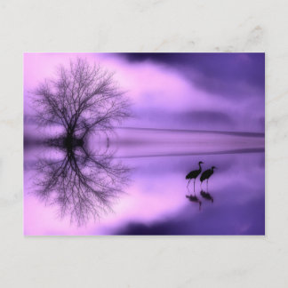 Postal Cartão Poste de Manhã Roxo