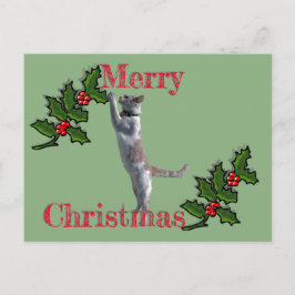 Postal Cartão poste - Feliz Natal Holly e Gato