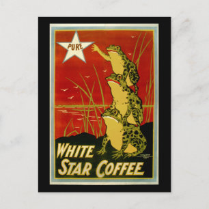 Postal Cartão publicitário para café com sapo de vinheta