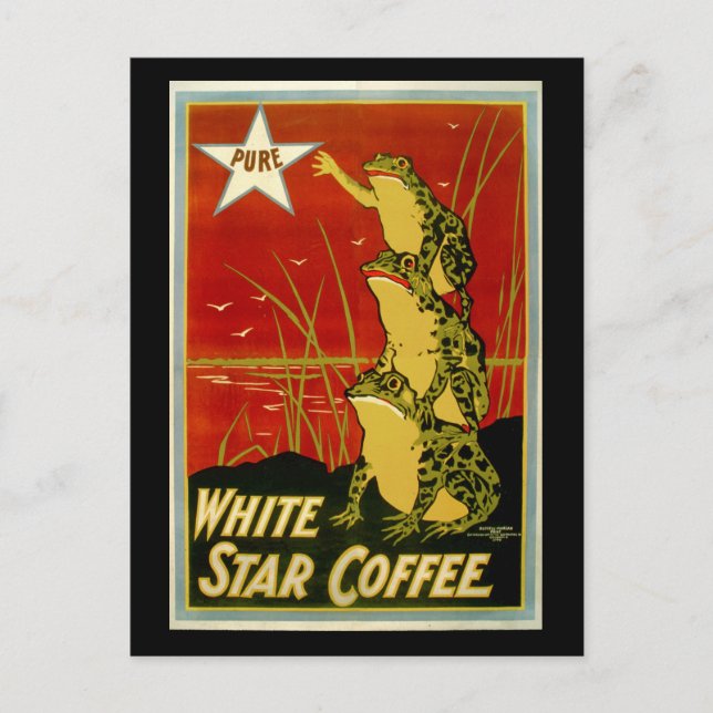 Postal Cartão publicitário para café com sapo de vinheta (Frente)