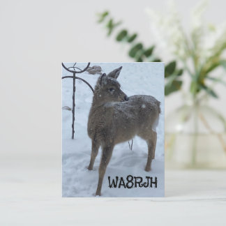 Postal Cartão qsl de rádio para veados de inverno para be