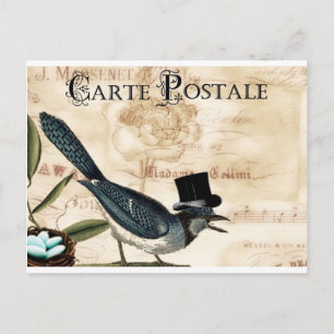 Postal Cartão superior preto francês do Bluebird do cer