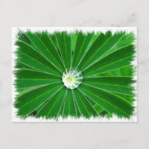 Postal Cartão verde para energia
