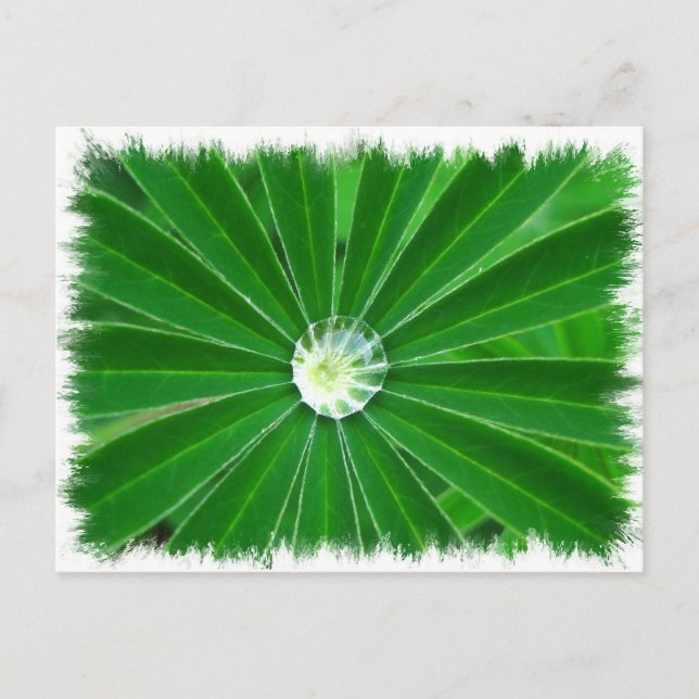 Postal Cartão verde para energia (Frente)