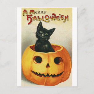 Postal Cartão Vintage Halloween Gato Negro na Abóbora