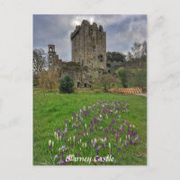 Castelo de Blarney, County Cork, Irlanda Cartão po