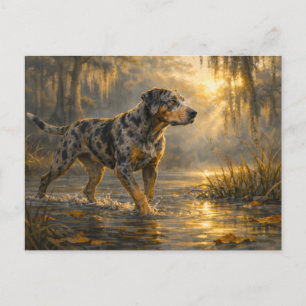 Postal Catahoula Sunrise Arte de Cão de Caça Cartão P