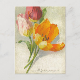 Postal Catherine Klein Vintage - Reprodução de Cartão 