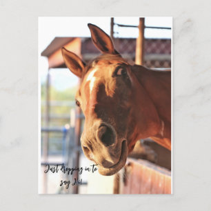 Postal Cavalo dizendo seu cartão de posto