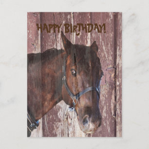 Postal Cavalo e celeiro olhando seu cartão de aniversário