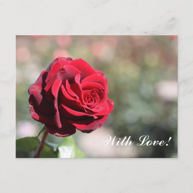 Postal Com cartão do amor (Frente)
