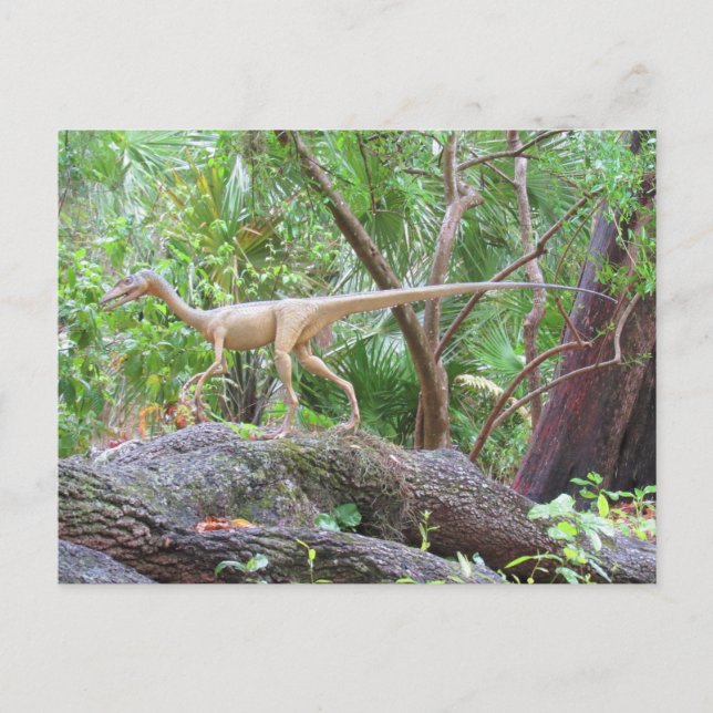Postal Compsognathus - Dinossauro - Cartão de Aprendizado (Frente)