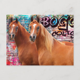 Postal Cores BOGO - Cartão de Posto de Grafite - Cavalos 