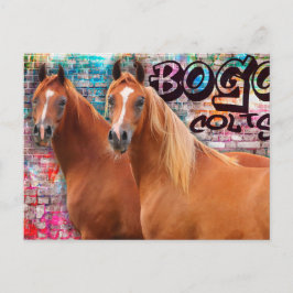 Postal Cores BOGO - Cartão de Posto de Grafite - Cavalos