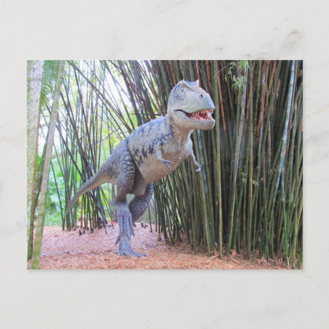Postal Daspletossaur - Dinossauro - Cartão de Aprendizado (Frente)