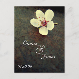 Postal De Anúncio Cherry Blossom Salve a data Vintage Rust Cartão po