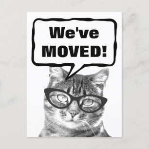 Postal De Anúncio Nós movemos cartão moventes com gato engraçado