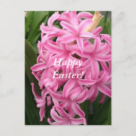 Postal De Festividades Cartão cor-de-rosa da flor dos jacintos do felz