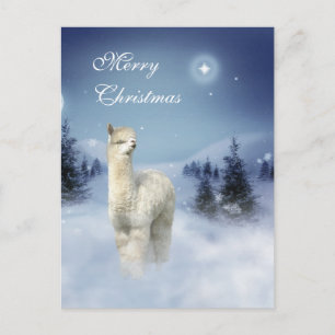 Postal De Festividades Cartão do Natal da noite do inverno da alpaca