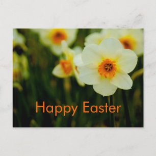Postal De Festividades Daffodils • Cartão da páscoa