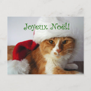 Postal De Festividades Gato francês do cumprimento no cartão do chapéu