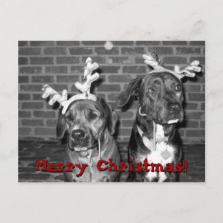 Postal De Festividades recontraste do cartão xmas, Feliz Natal!!!,...