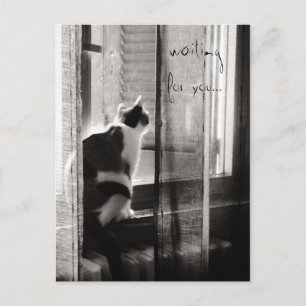 Postal Esperando o - cartão