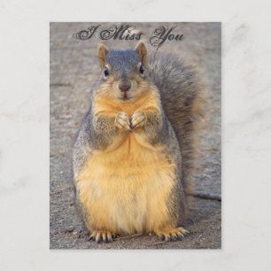 Postal Eu Sinto Sua Falta_ Cartão Postal_por Elenne Booth