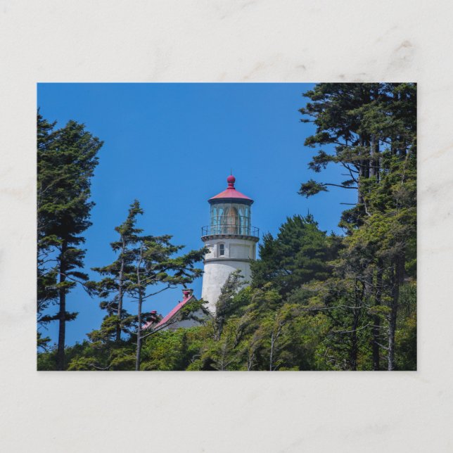 Postal Farol de Cabeça Heceta | Costa do Oregon | Cartão  (Frente)