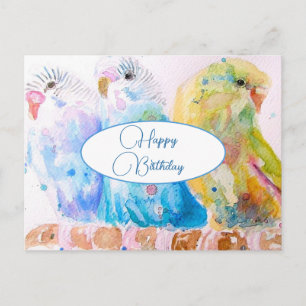 Postal Feliz Aniversário Budgie Budgies Pássaros Cartão P