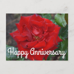 Postal Feliz Aniversário Buquê Carmesim Rosa #3 Cartão Po