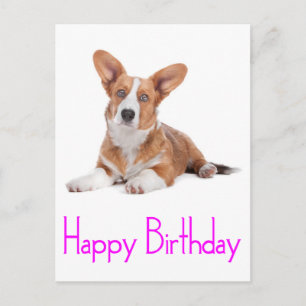 Postal Feliz Aniversário Cachorrinho Corgi Galês Cartão P