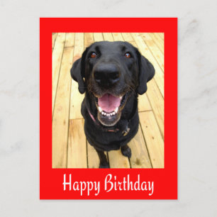 Postal Feliz Aniversário Cartão de Posto Preto Labrador R