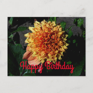 Postal Feliz Aniversário Dahlia Sandia Brocade #1 Cartão