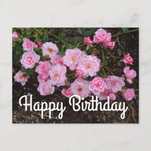 Postal Feliz Aniversário Jeanne LaJoie Rose #1 Cartão Pos