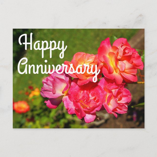 Postal Feliz Aniversário Rosa Joseph's Coat #1 Cartão Pos (Frente)