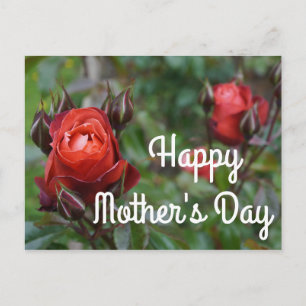 Postal Feliz Dia das Mães Cacau Quente Rosa #1 Cartão Pos
