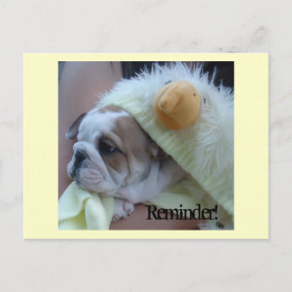 Postal Filhote de cachorro inglês do buldogue dos cartão