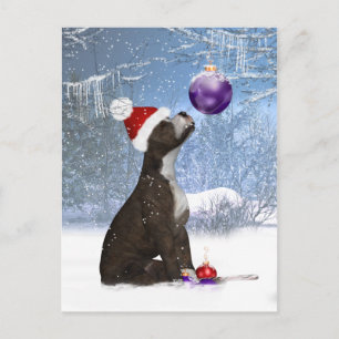 Postal Filhote de Staffordshire Bull Terrier - Cartão de