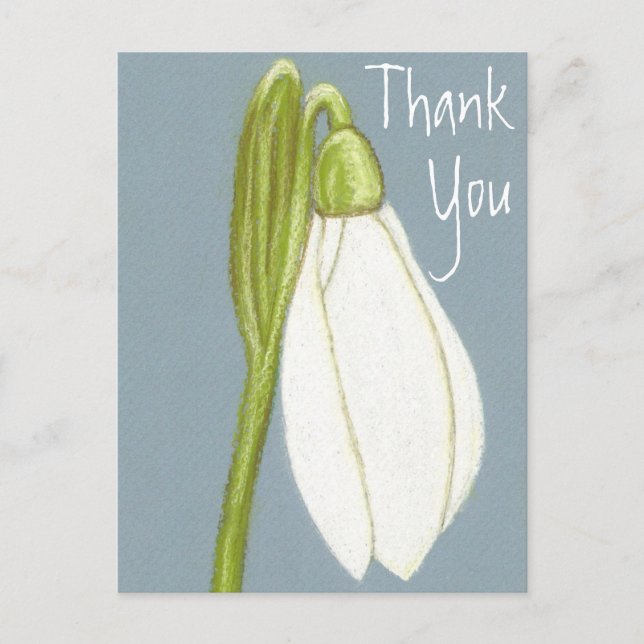 Postal Flor de Galanthus Cartão de Agradecimento (Frente)