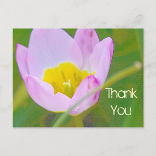 Postal flor de tulipa cartão de agradecimento em branco