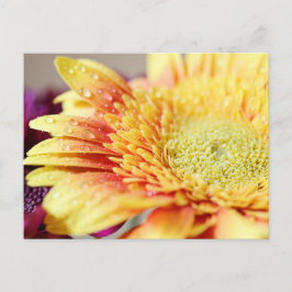 Postal Flor e cartão amarelos das gotas
