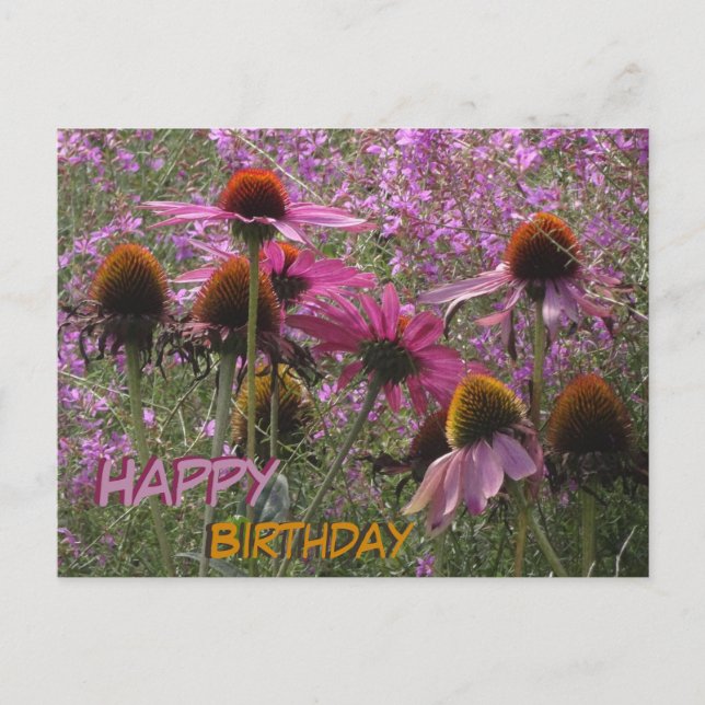 Postal Flores de Chapéu de Sol Texto Personalizado Cartão (Frente)