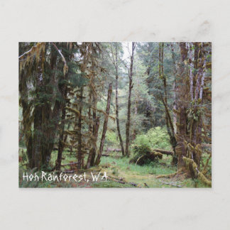Postal Floresta de Hoh, Estado de Washington, Cartão Post